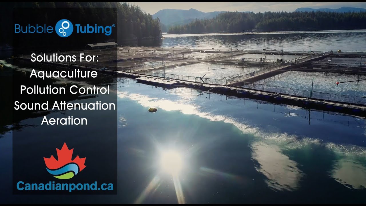 Introducing Bubble Tubing® by CanadianPond