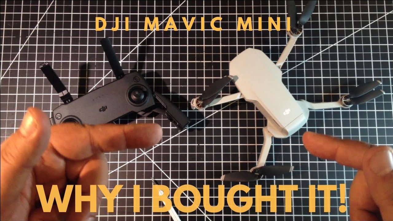 Mavic Mini - First Flight and Impressions!