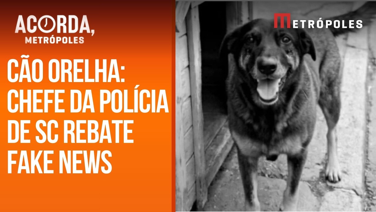 Cão Orelha: alvo de ataques, chefe da polícia de SC desabafa nas redes