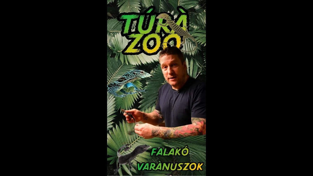 A f&aacute;nlak&oacute; t&ouml;rpe var&aacute;nuszok.