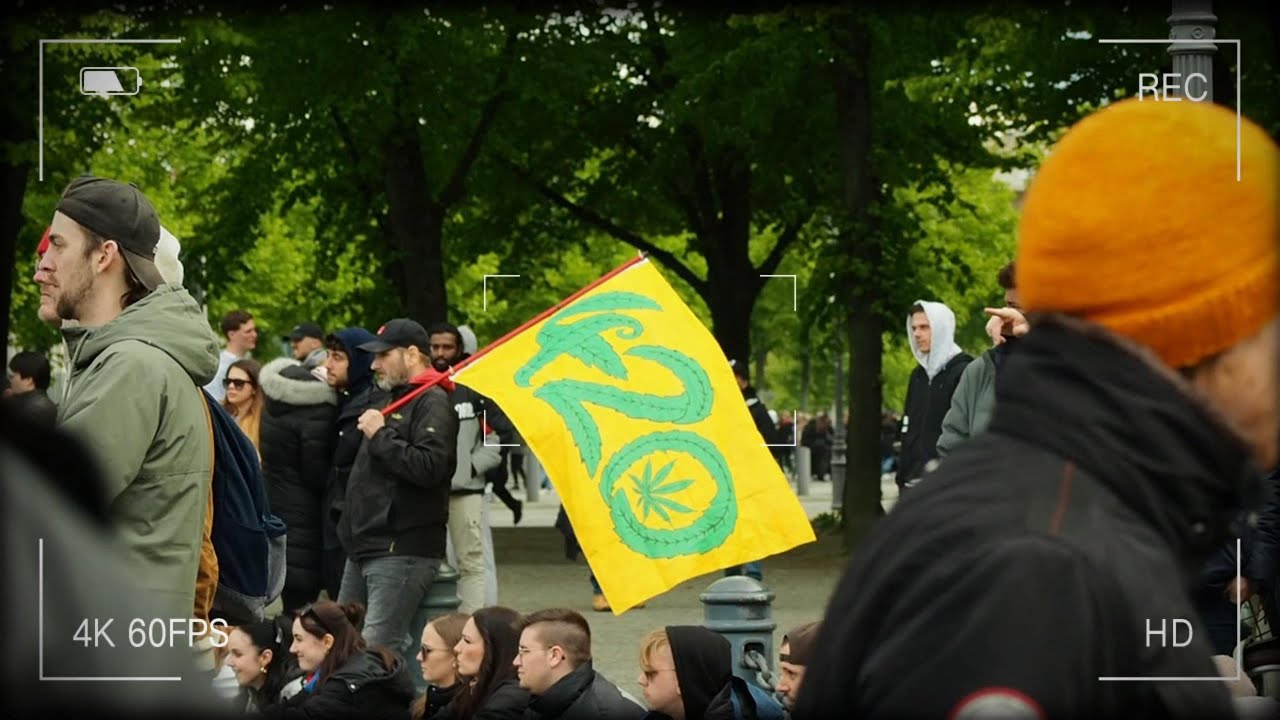 Germany's First 420 Festival! Legal Cannabis in Berlin 2024 #cannabis #berlin #420 #legalize