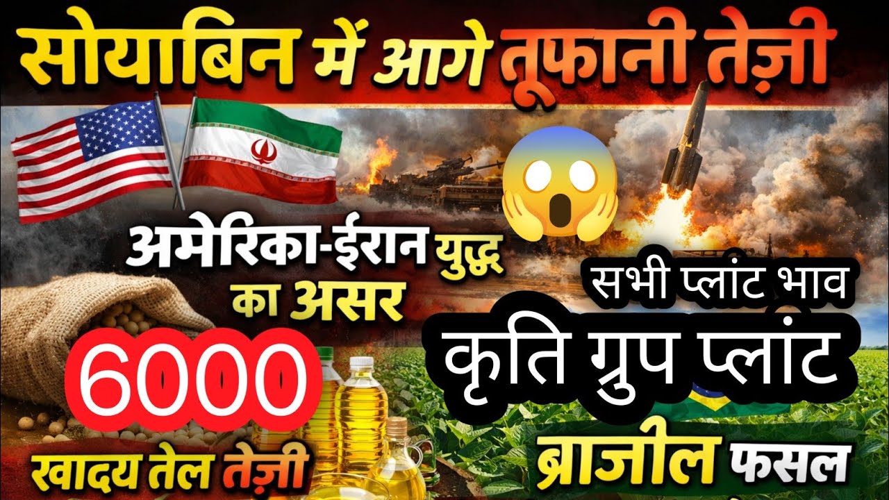 सोयाबिन मे तेज़ी, युद्ध से खाद्य तेल मे तेज़ी, भारतीय बाजारों मे तेज़ी ज़ारी जानिए संपूर्ण जानकारी 
