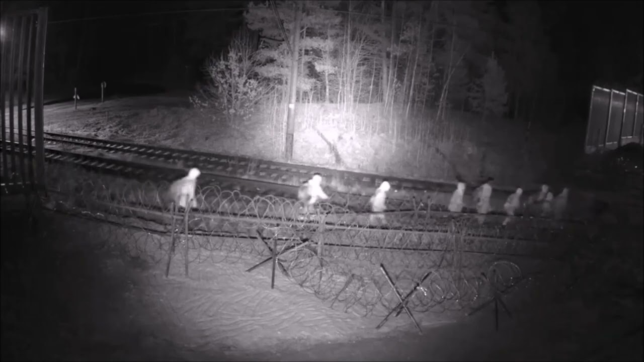 Granica polsko-białoruska. Migranci nielegalnie przekraczają granicę w ok. Kuźnicy