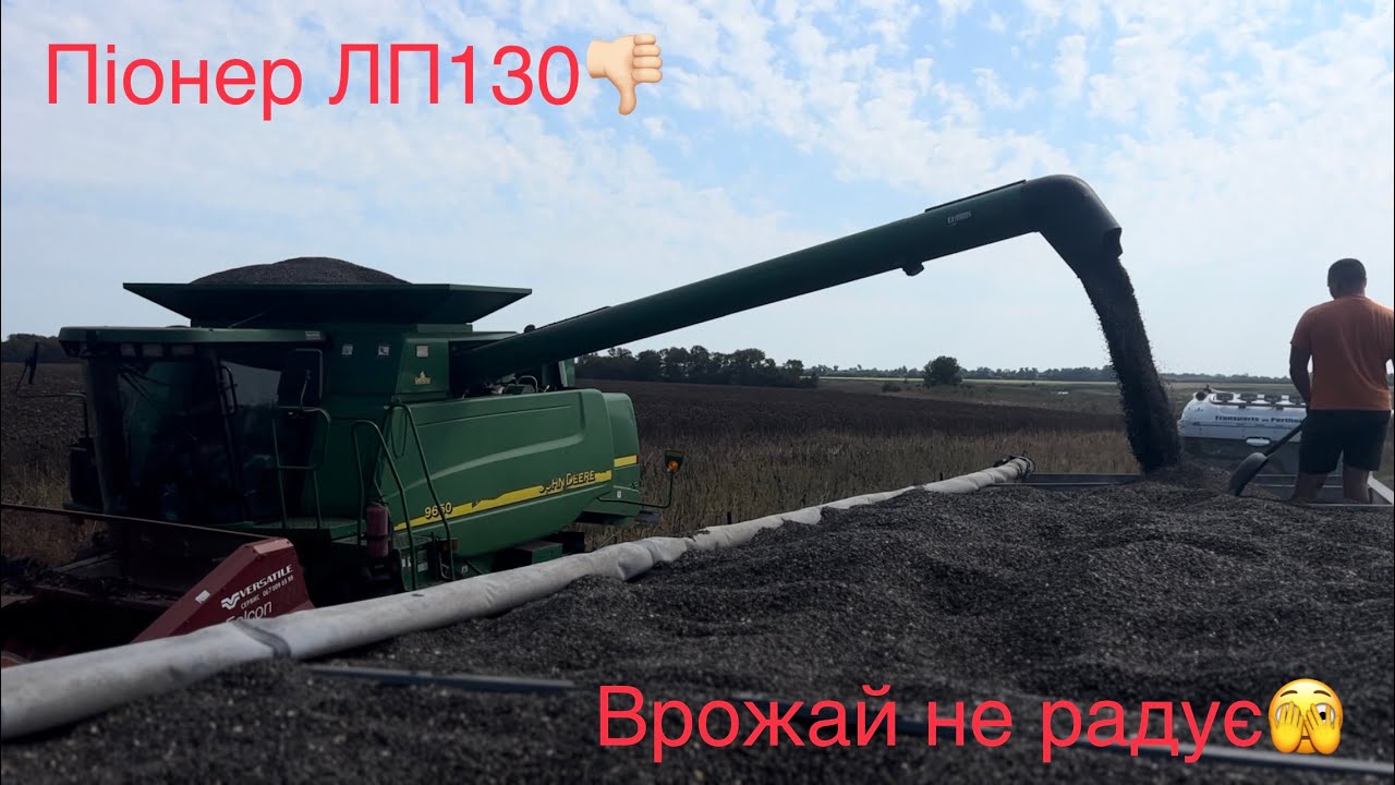 Обмолот соняшника‼️ Pioneer LP 130, натури немає зовсім👎🏻 Врожаю теж🤷🏻‍♂️ Більше не сіятимемо‼️