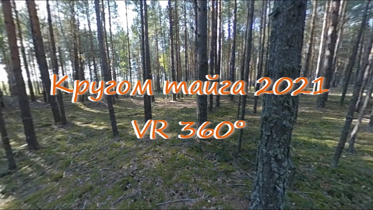 VR-видео.Трофи-рейд 