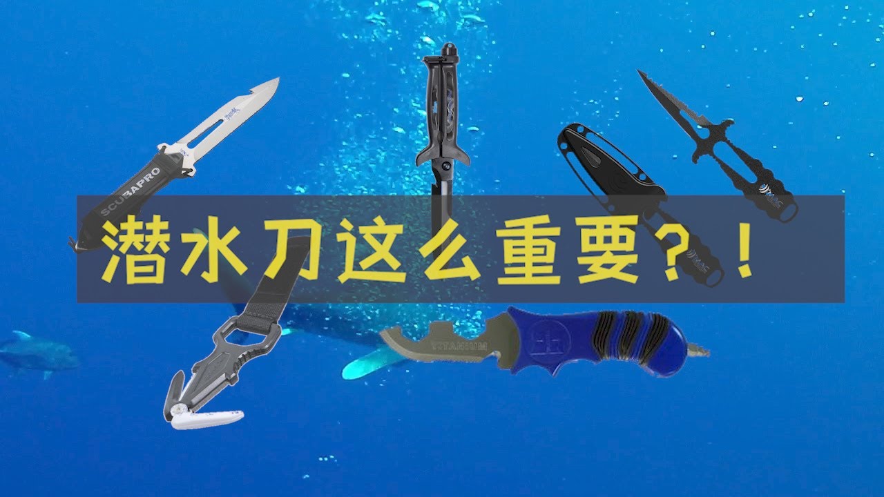 潜水刀都有哪些种类，适用于什么场景，如何佩戴？5分钟全面了解潜水刀！ | Scuba Knife | Scuba Diving Equipment
