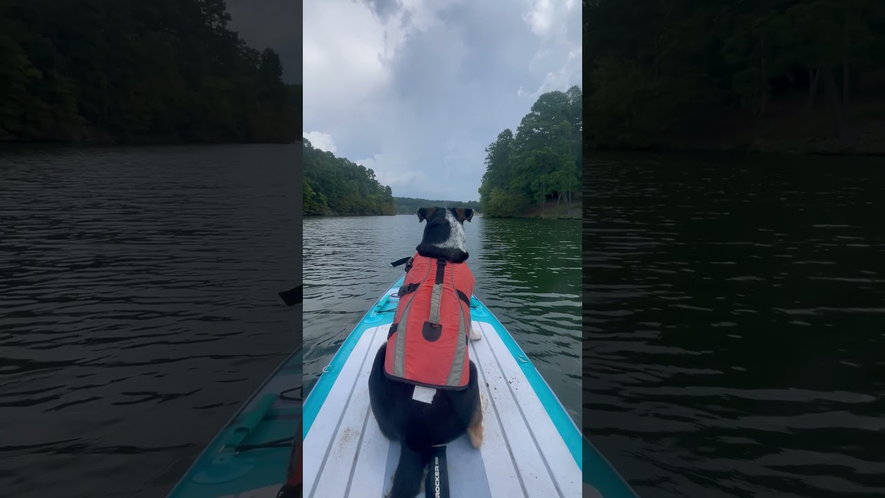 Captain Bud &mdash; Paddleboard Days