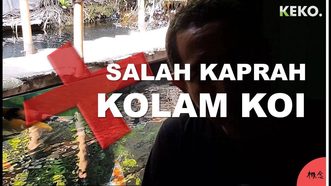SALAH KAPRAH KOLAM KOI - MISCONCEPTION OF KOI POND (English Subtitle) |Tutorial Kolam Koi (1)
