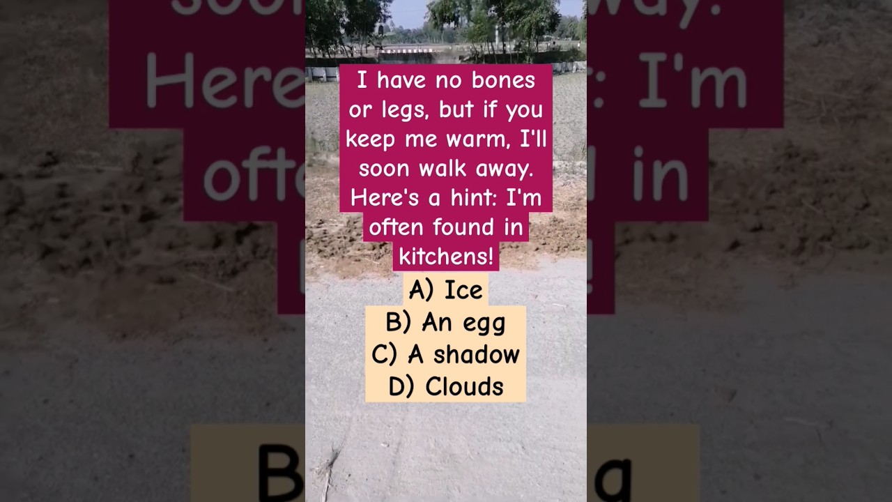 What is it? #shorts #quiz #quizgames #puzzlequiz #riddlesquiz #funnyquizzes