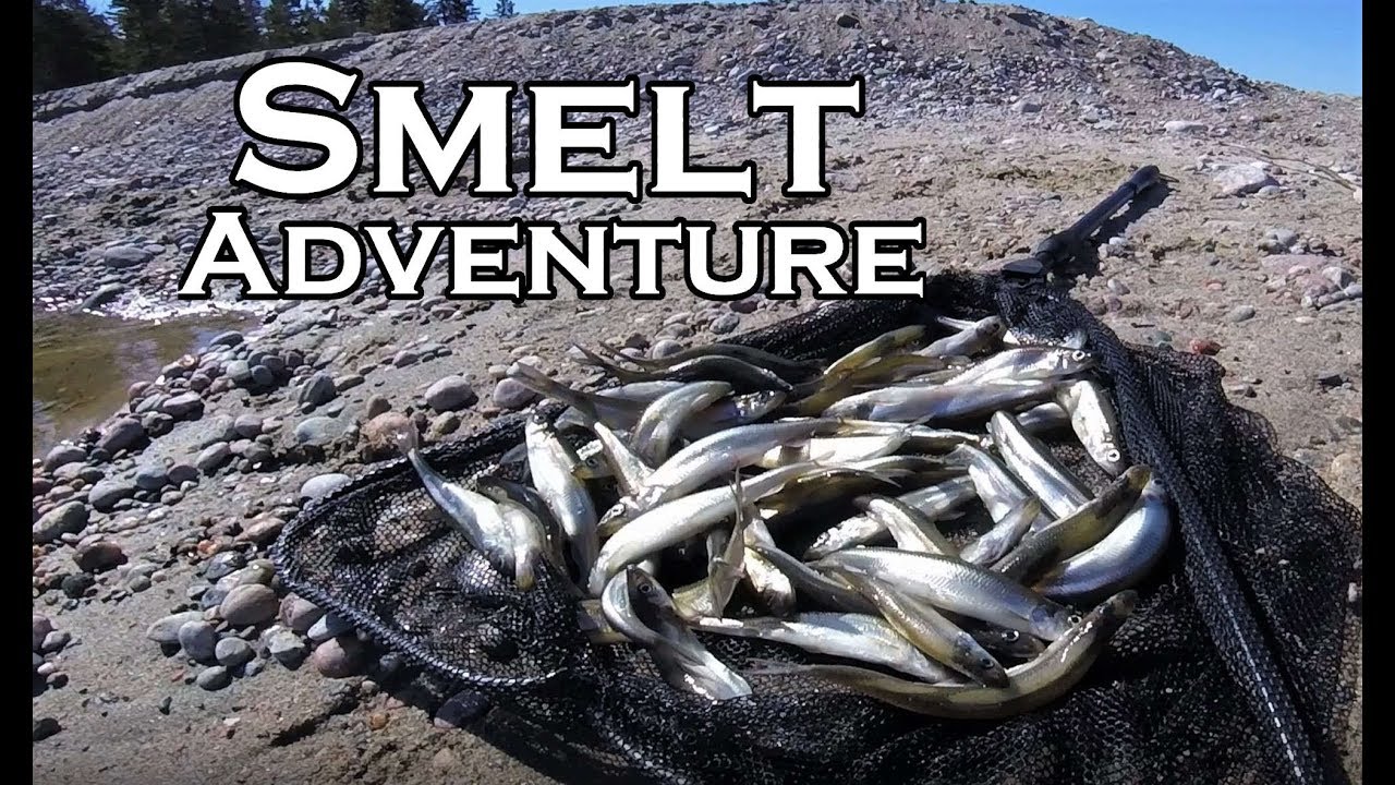 Smelt Campout Adventure
