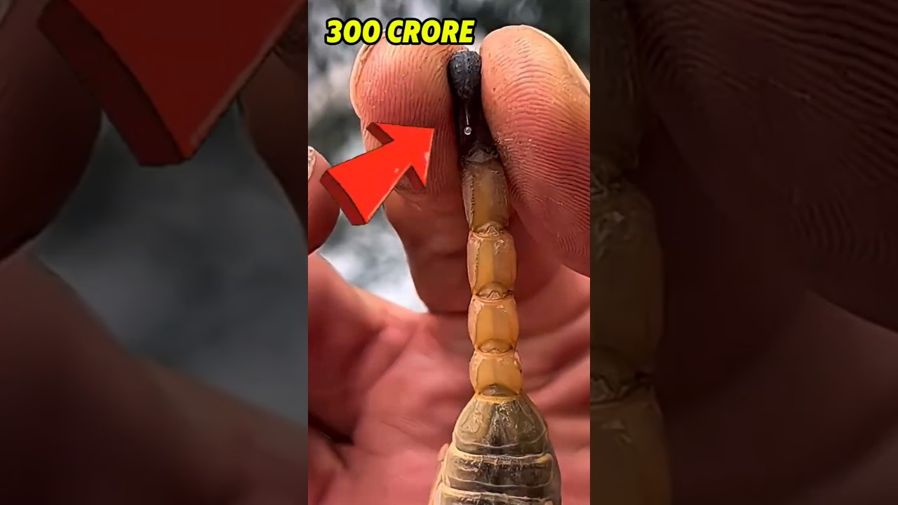 Duniya Ka Sabse Mehnga Liquid (Sona Nahi!) 🦂💰 