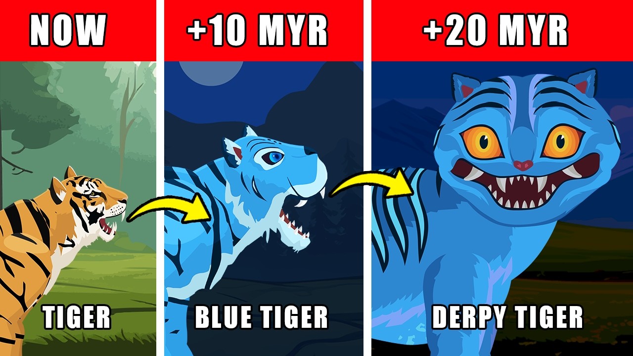 Derpy Tiger Origin Evolution: How Derpy Tiger Could Have Evolved