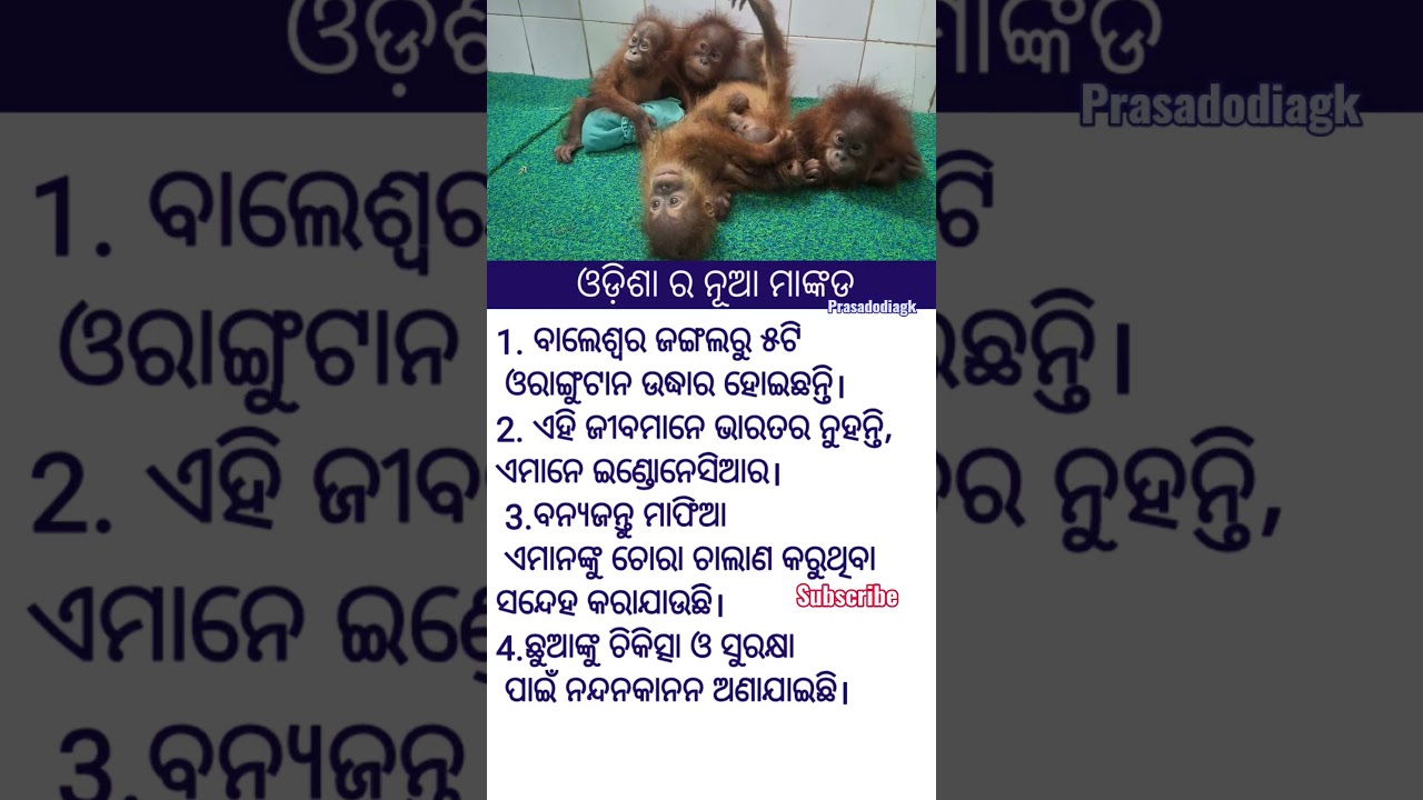 odia general knowledge|| #viral#trending#news
