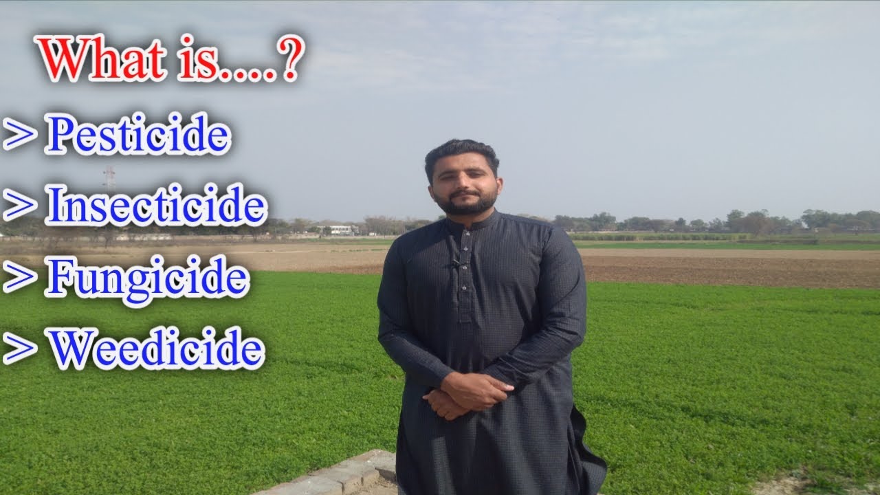 What is pesticide,Insecticide,Fungicide,weedicide?