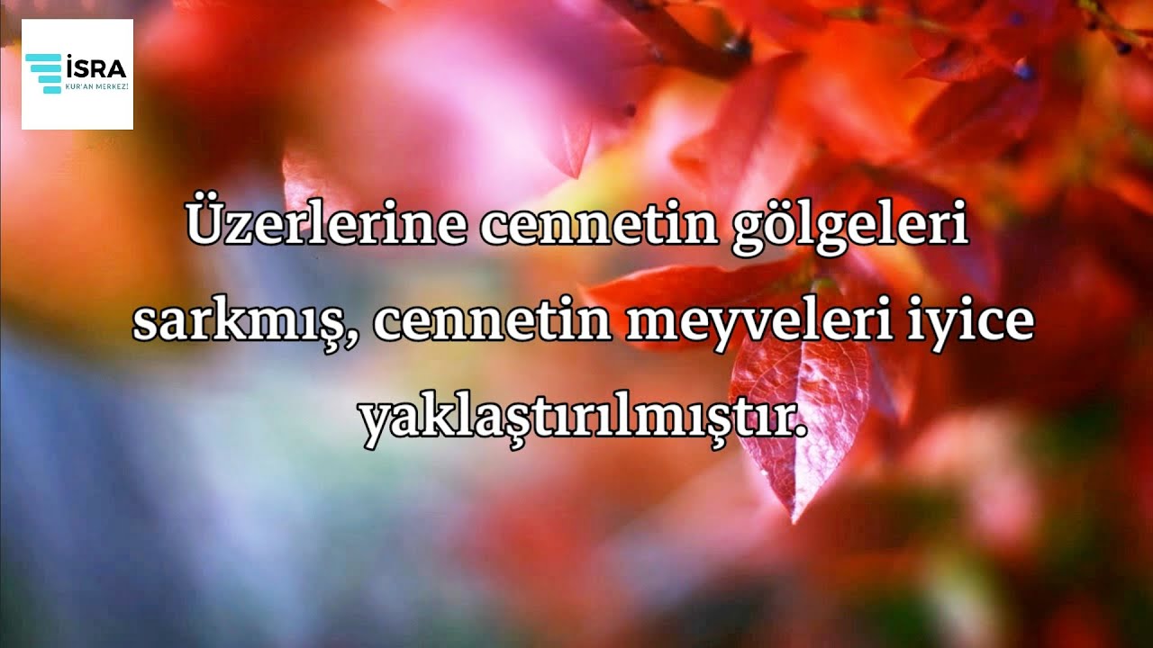 İnsan Suresi - Ahmed Khedr