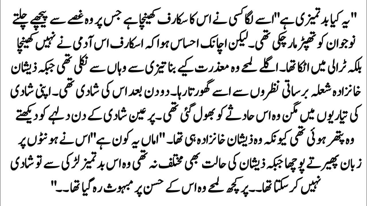 Urdu Novel 