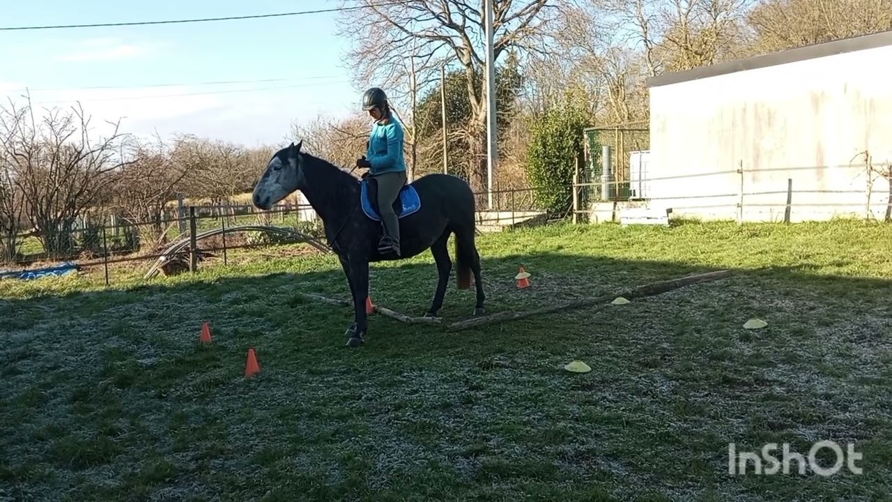 Equifeel virtuel Caval Go 2026 - Montée 2 - Aurélie Morisseau et Katiuska de Trélan 