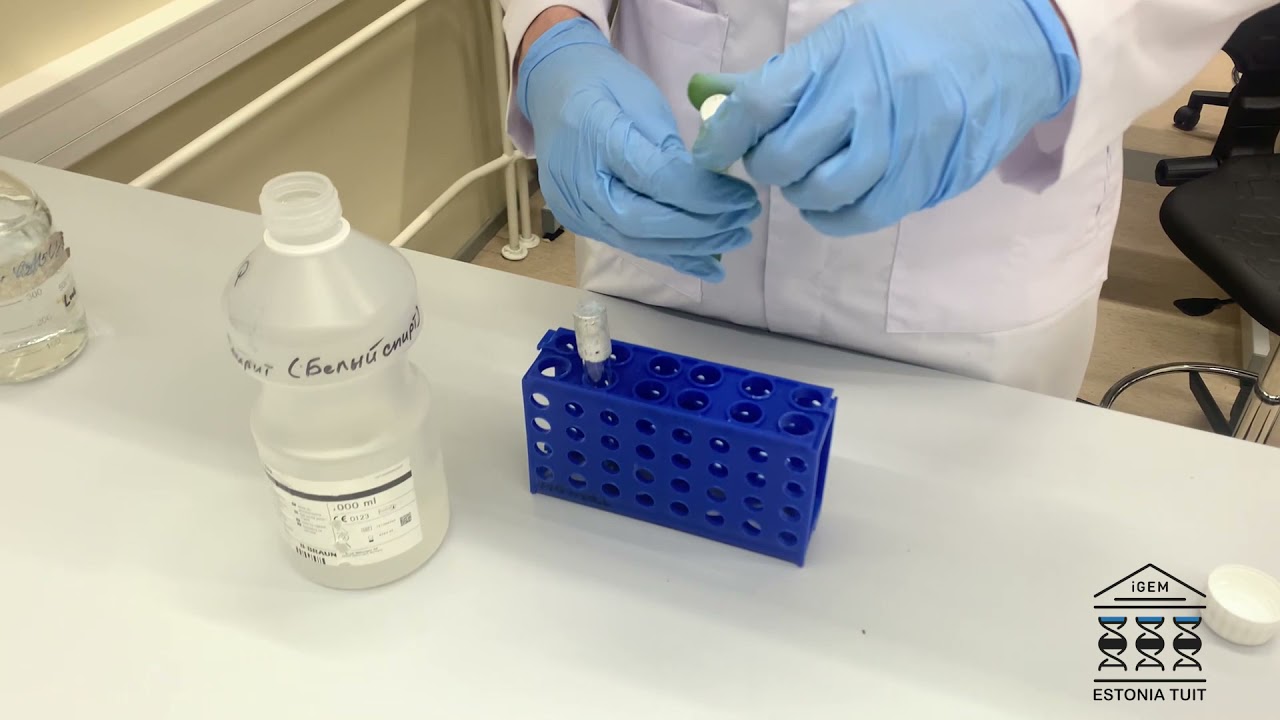 Pigment Extraction Workshop Tutorial