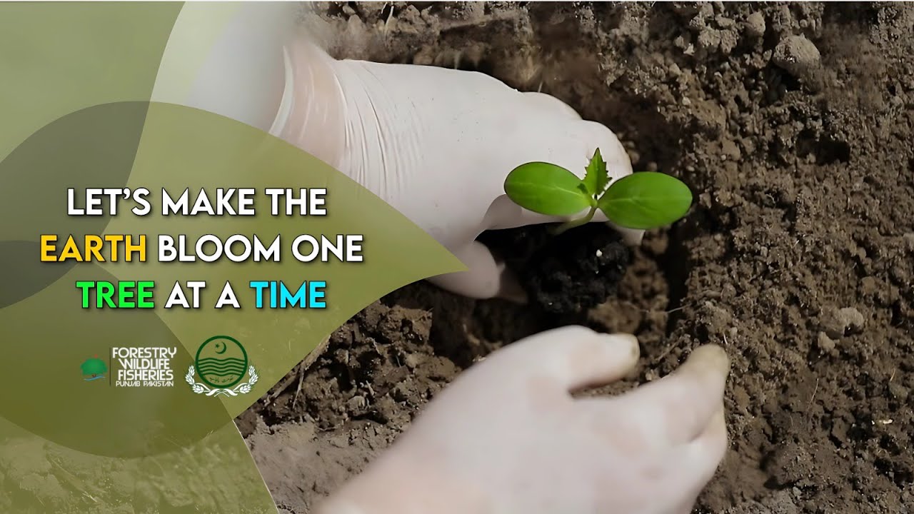 Trees for a Better Future | One Tree Can Inspire Millions | FW&F Punjab