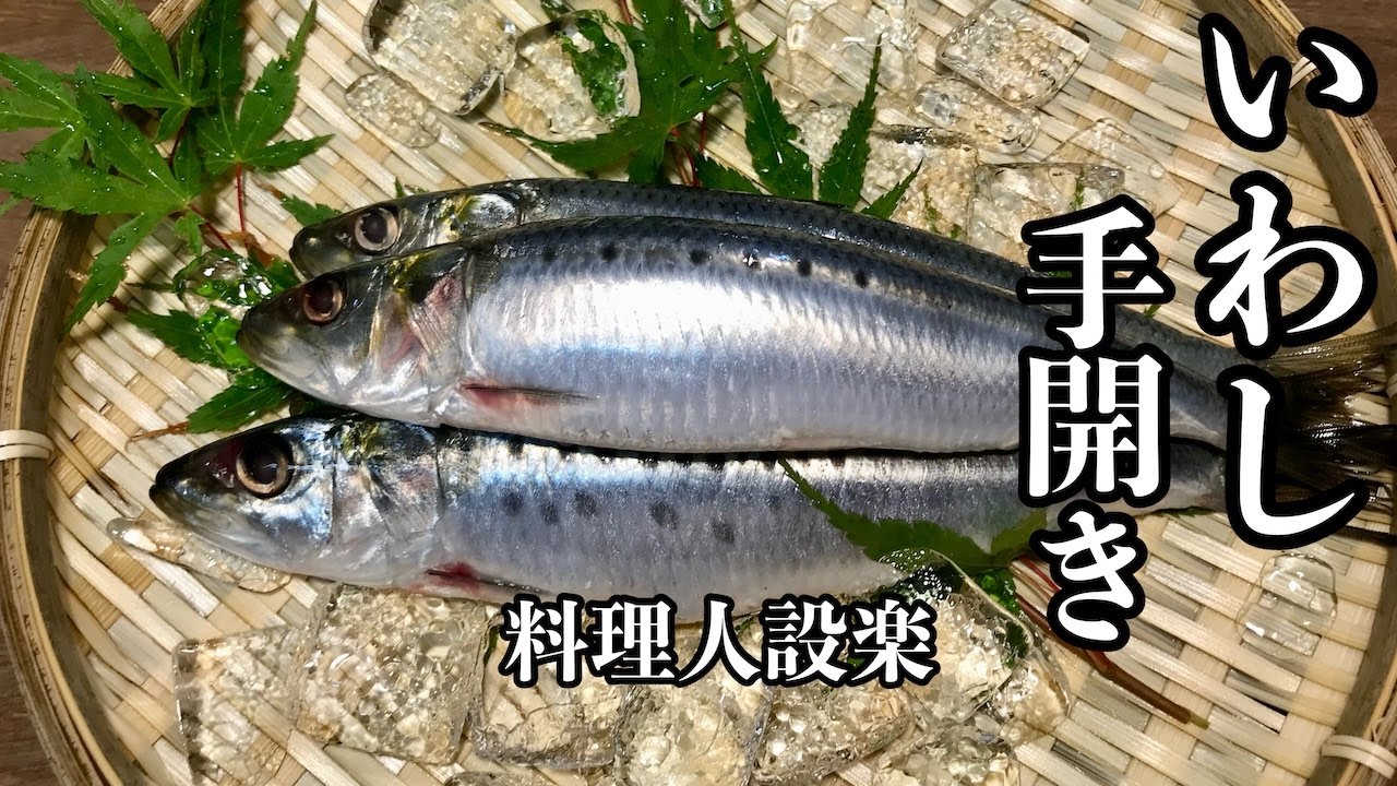 【プロ直伝】イワシの手開き