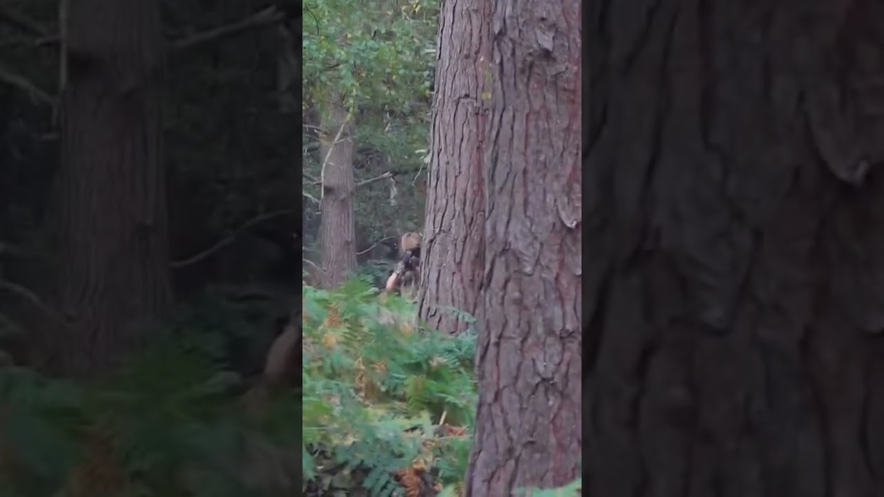 Gunman Airsoft UK  #airsoft #airsofting
