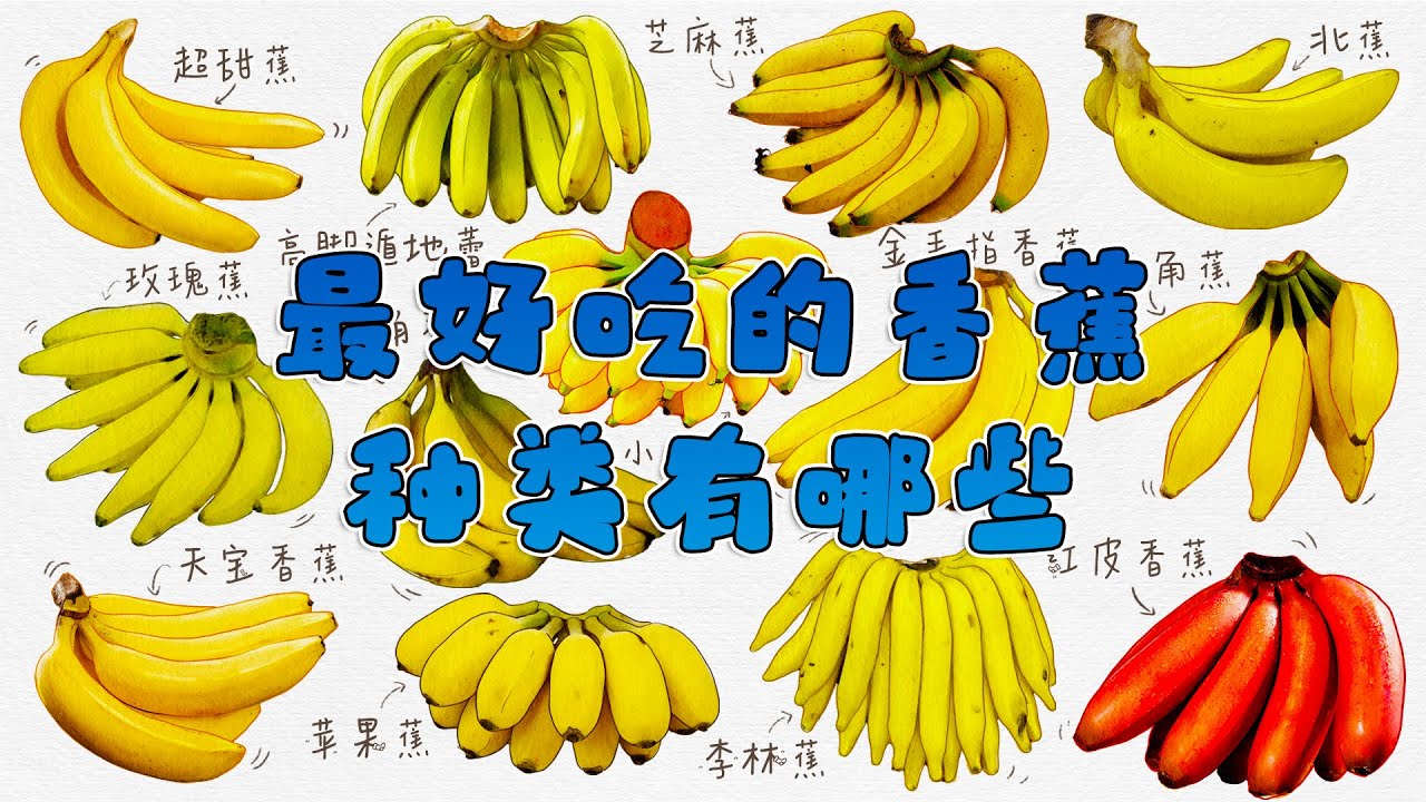 最好吃的香蕉种类有哪些？如何区分香蕉的种类与口感？