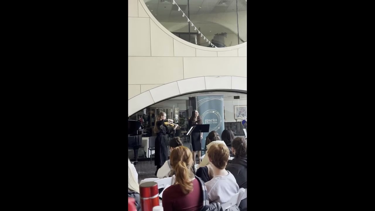 Niyayesh Bagheri - Shapeless Figure Falls into Form (SongSlam competition)