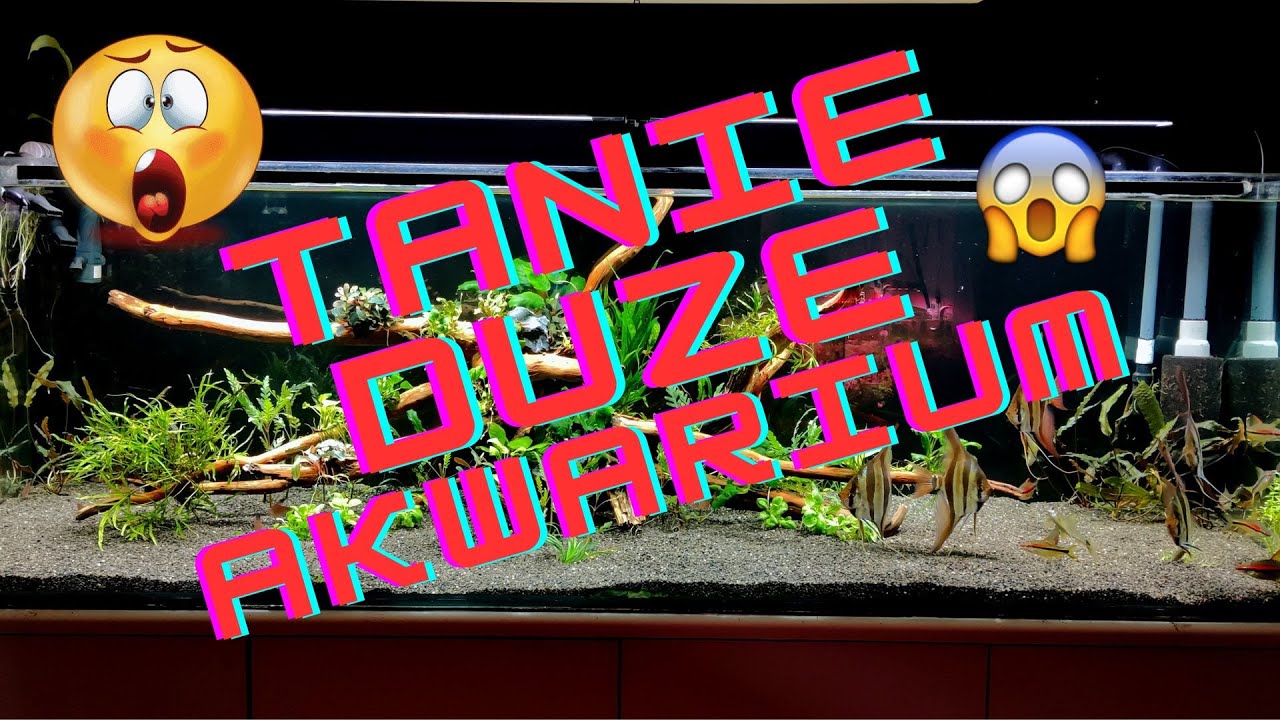 Tanie Duze Akwarium 720l