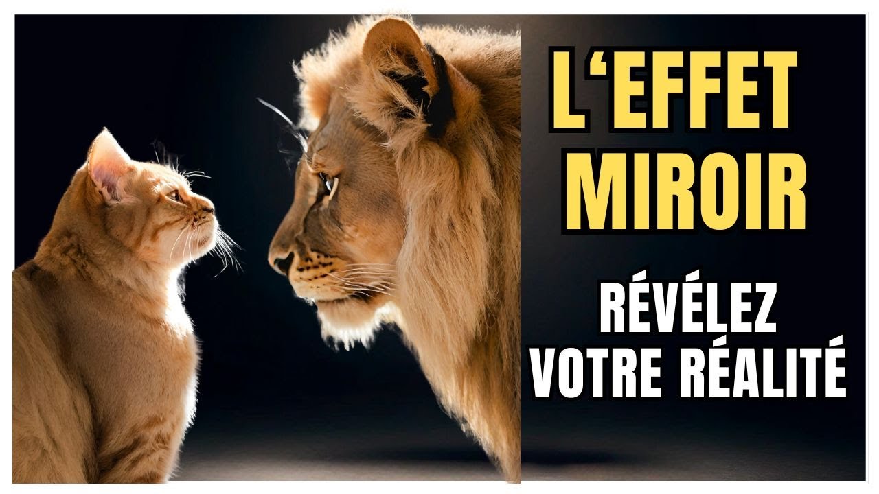 L'EFFET MIROIR : COMMENT REFLETEZ VOTRE R&Eacute;ALIT&Eacute; !