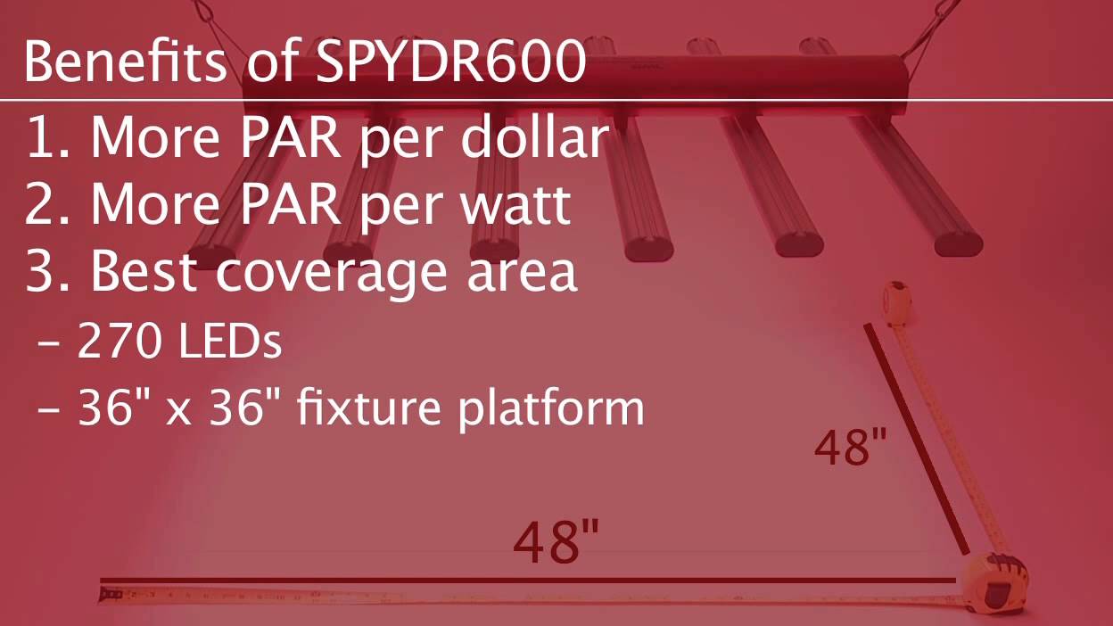 SPYDR 600 LED from BML Horticulture