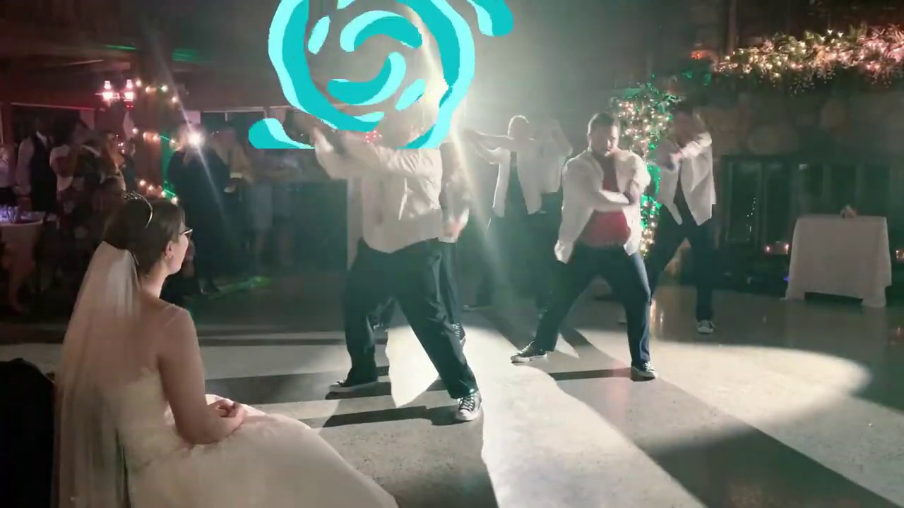 Disney Groomsmen Dance Cameron and Sarah