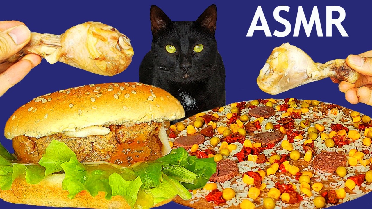 ASMR Mukbang | Cat Eating Burger, Pizza and Chicken