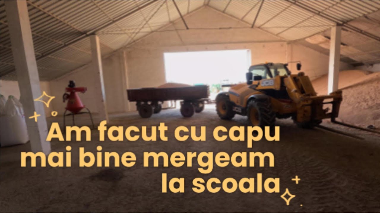 O zi intensa la selectat de grau