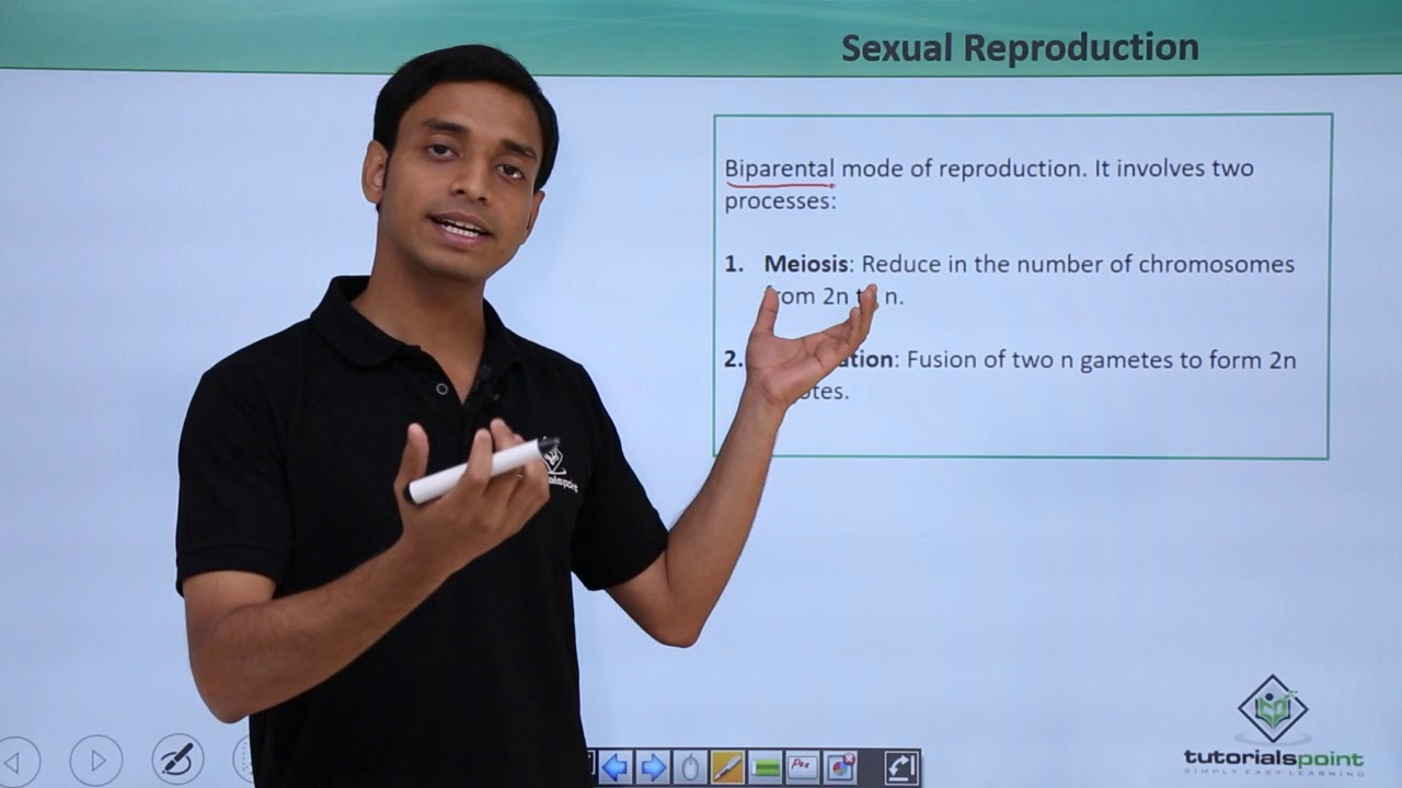 Class 11th – Kingdom Protista – Reproduction | Biological Classification | Tutorials Point