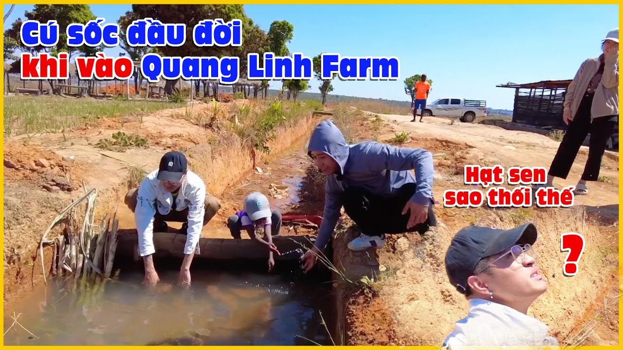 Cô Gái Châu Phi || Gặp Phải Cú Sốc Đầu Đời Khi Vào Quang Linh Farm.
