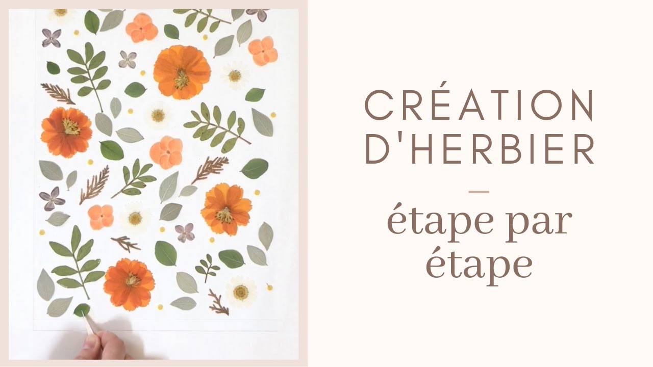 CRÉATION D'HERBIER - MON PROCESSUS CRÉATIF