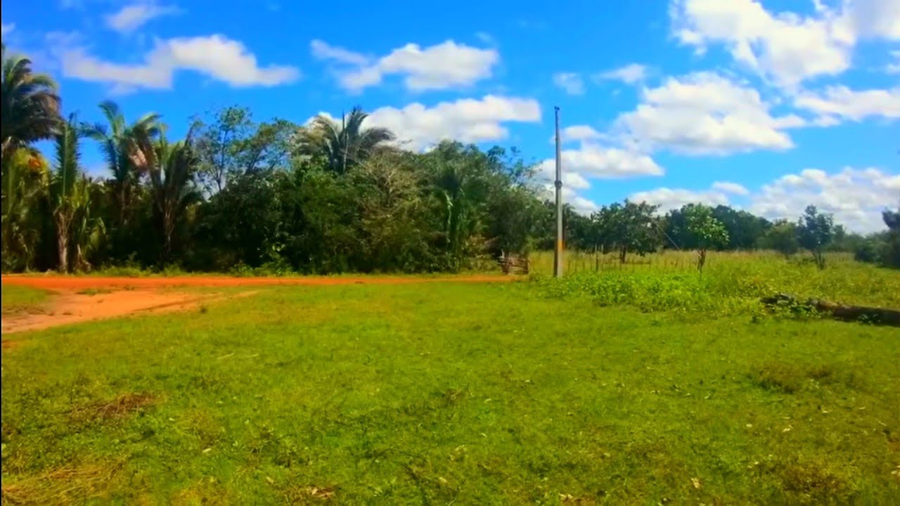 VENDE SE ESTA BELA PROPRIEDADE DE 24 HECTARES MUITO RICA EM AGUA E MADEIRA EM BARRAS PIAUÍ