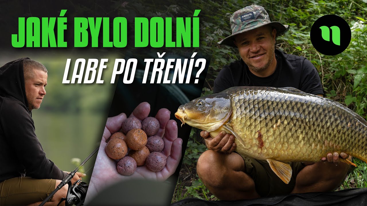 Jaké bylo dolní Labe po tření? | Stěhování na jiné místo | Není konec, dokud není konec!