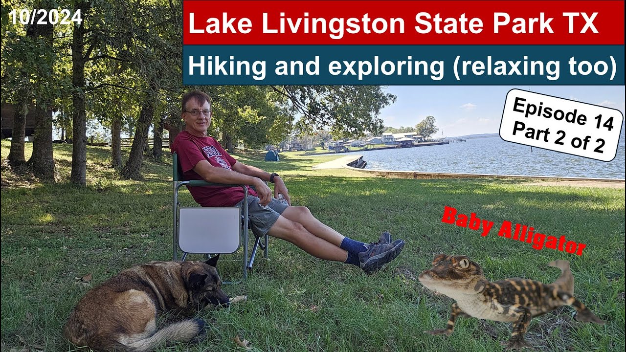 Lake Livingston State Park, hiking and exploring. Baby Alligator, Snakes. Episode 14 Part 2.