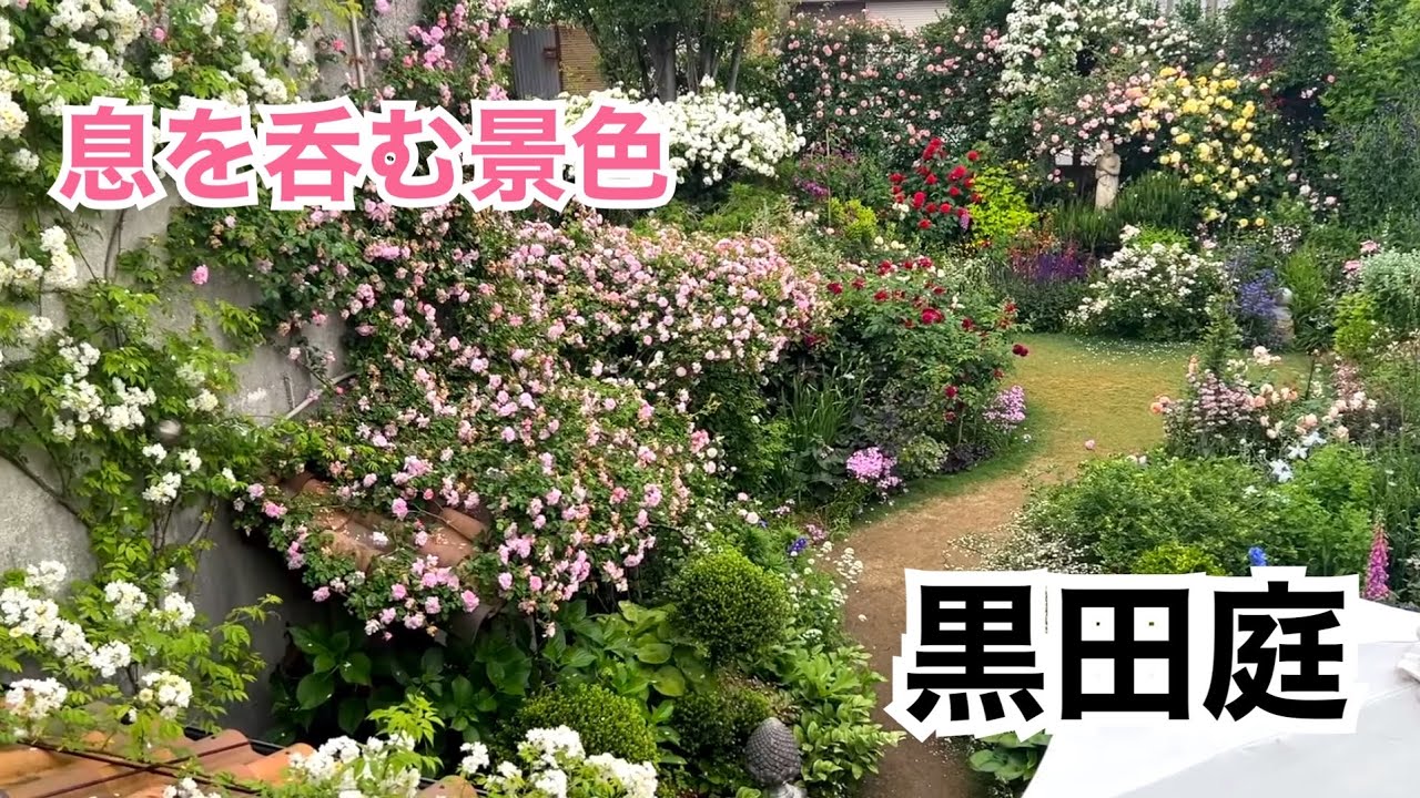 黒田庭｜圧巻の美、今だけの景色 2025 Kuroda's Residence – A View Like No Other