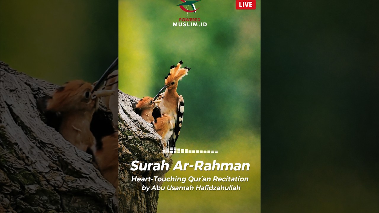 Surah Ar-Rahman | Beautiful Qur’an Recitation by Abu Usamah #quranlive #quranrecitation #arrahman