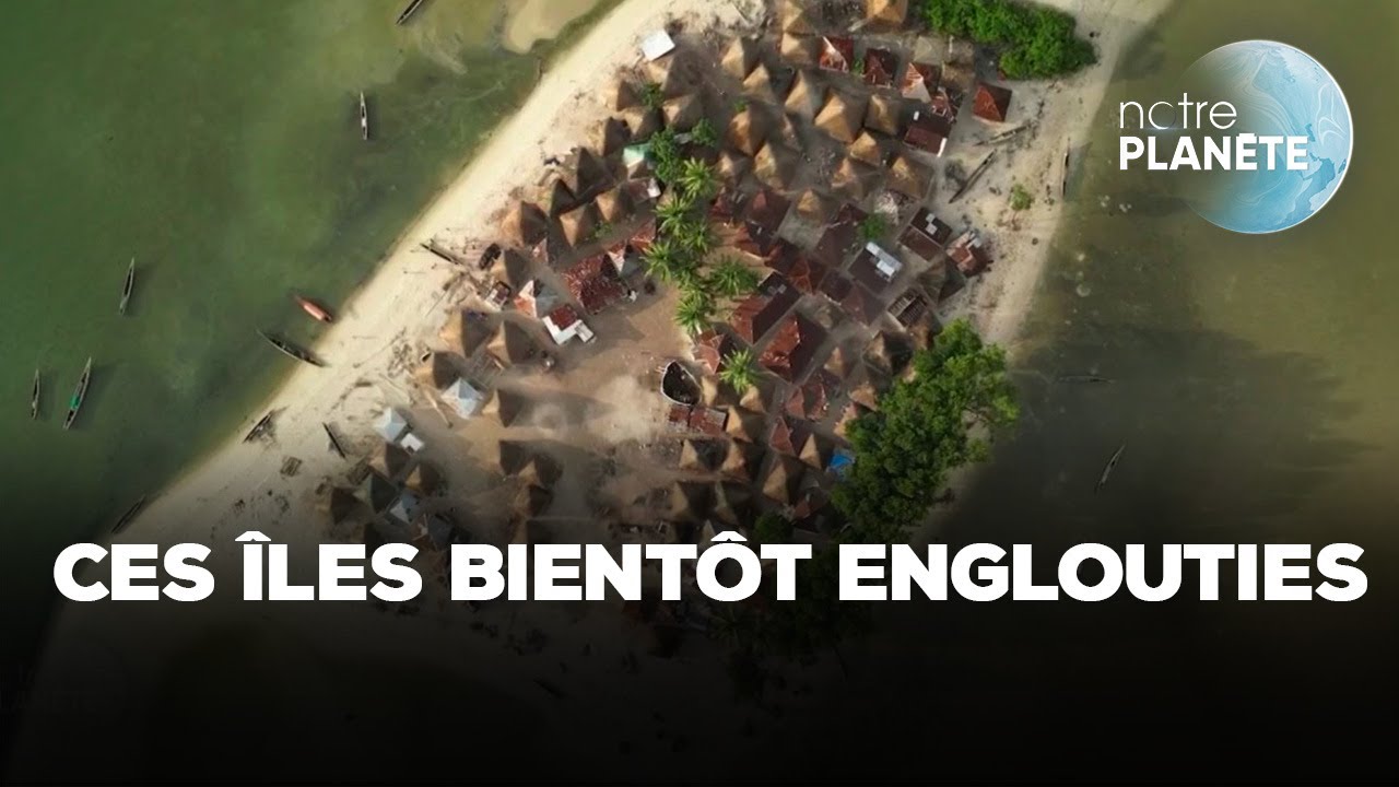 L'île de Nyangai condamnée à disparaître à cause du réchauffement climatique｜TF1 INFO