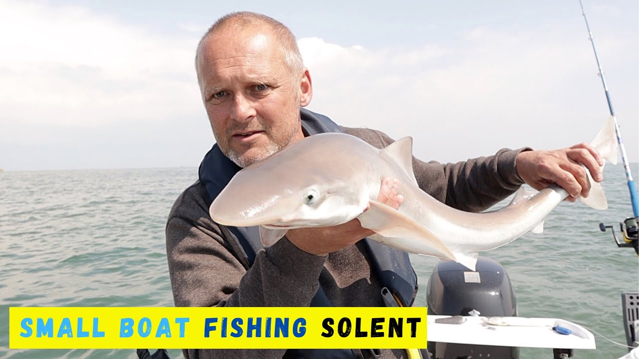 Small Boat Fishing - Eastern Solent - Tope - Warrior 165