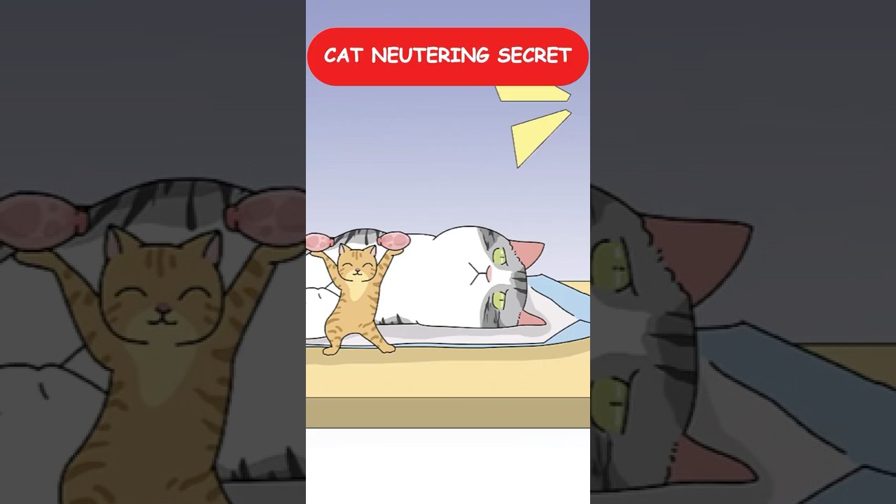 Cat Neutering Secret