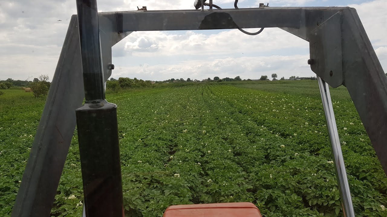 Obsypywanie ziemniaków t25 3p - Z życia Mikiego #16