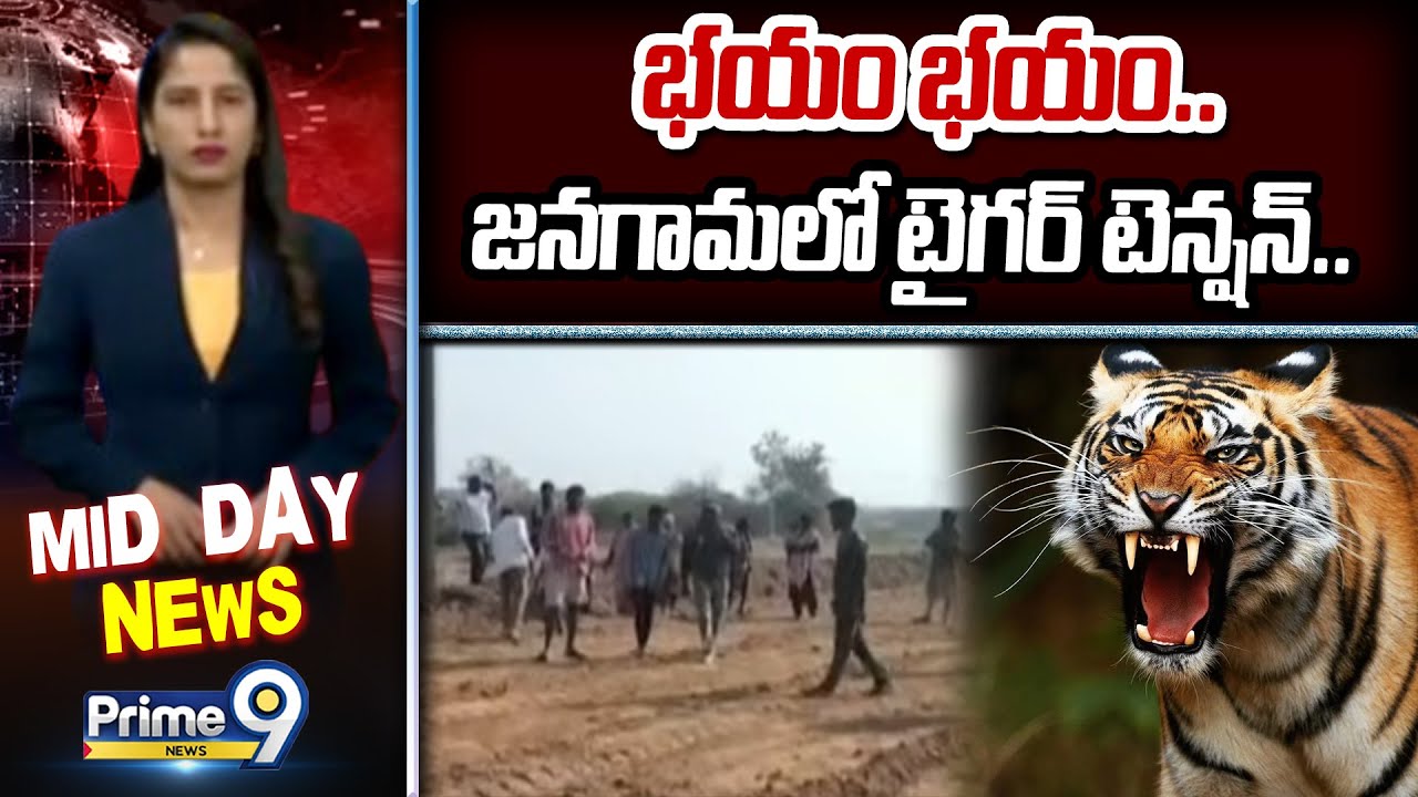 భయం భయం.. జనగామలో టైగర్ టెన్షన్.. | Jangaon District | Prime9 News