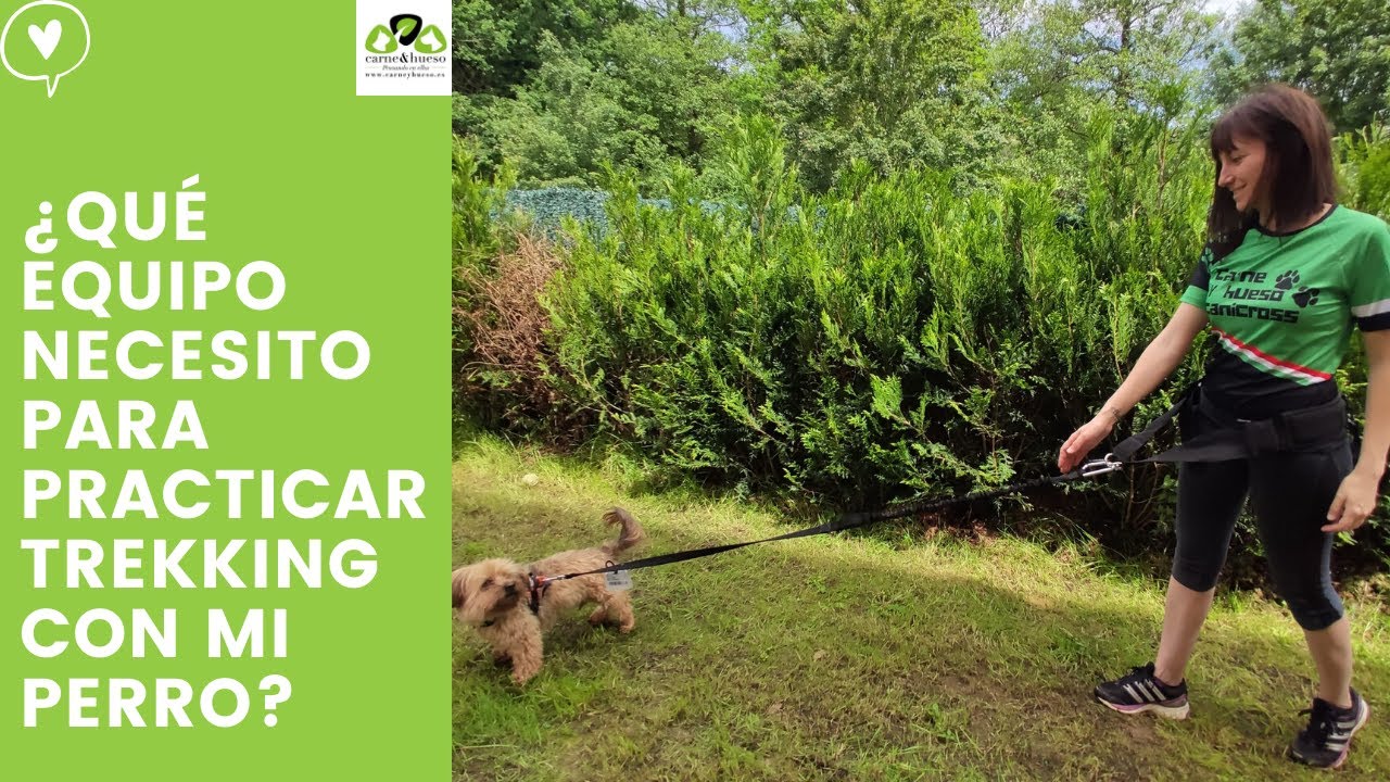 Material para practicar trekking o senderismo con perros