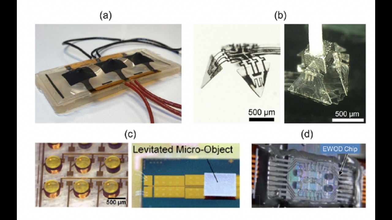 Emerging Micro Actuator Technology