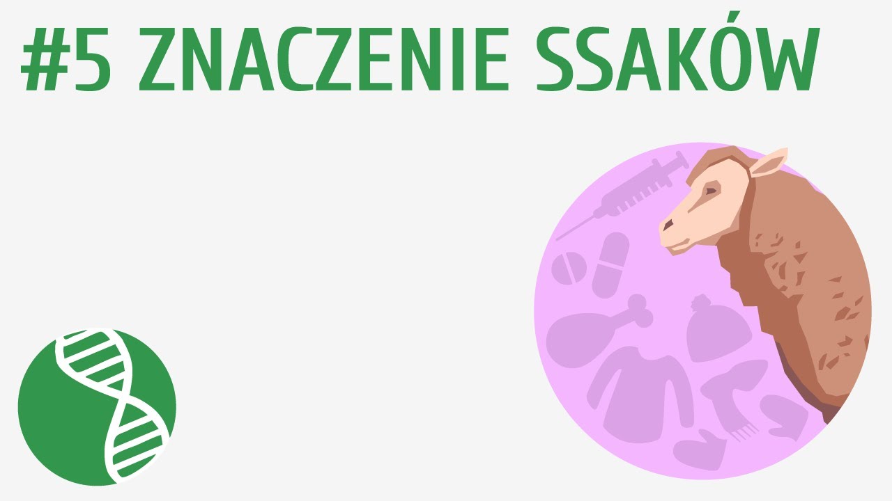 Znaczenie ssak&oacute;w #5 [ Ssaki ]