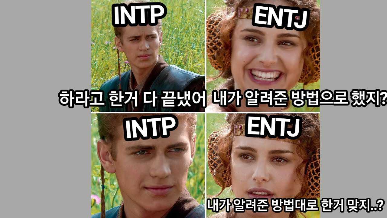INTP 사용설명서 3.타 mbti와의 상호작용 3-6 ENTJ
